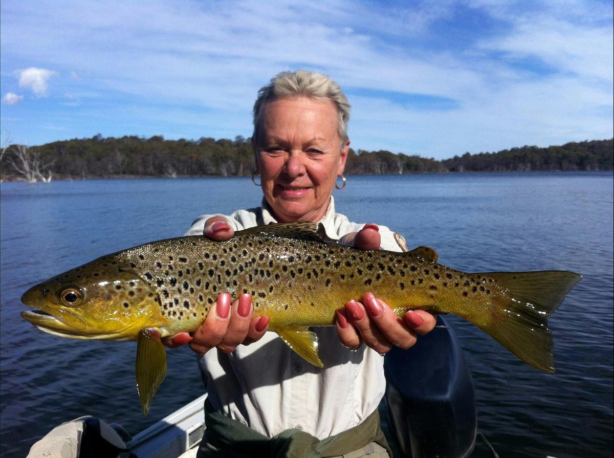 Launceston and north Guided trout and fly fishing tour