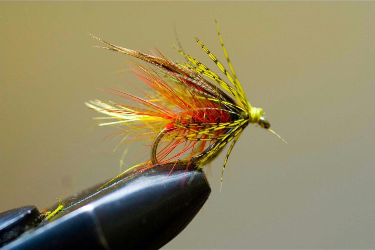 Intermediate fly fisher - skill builder