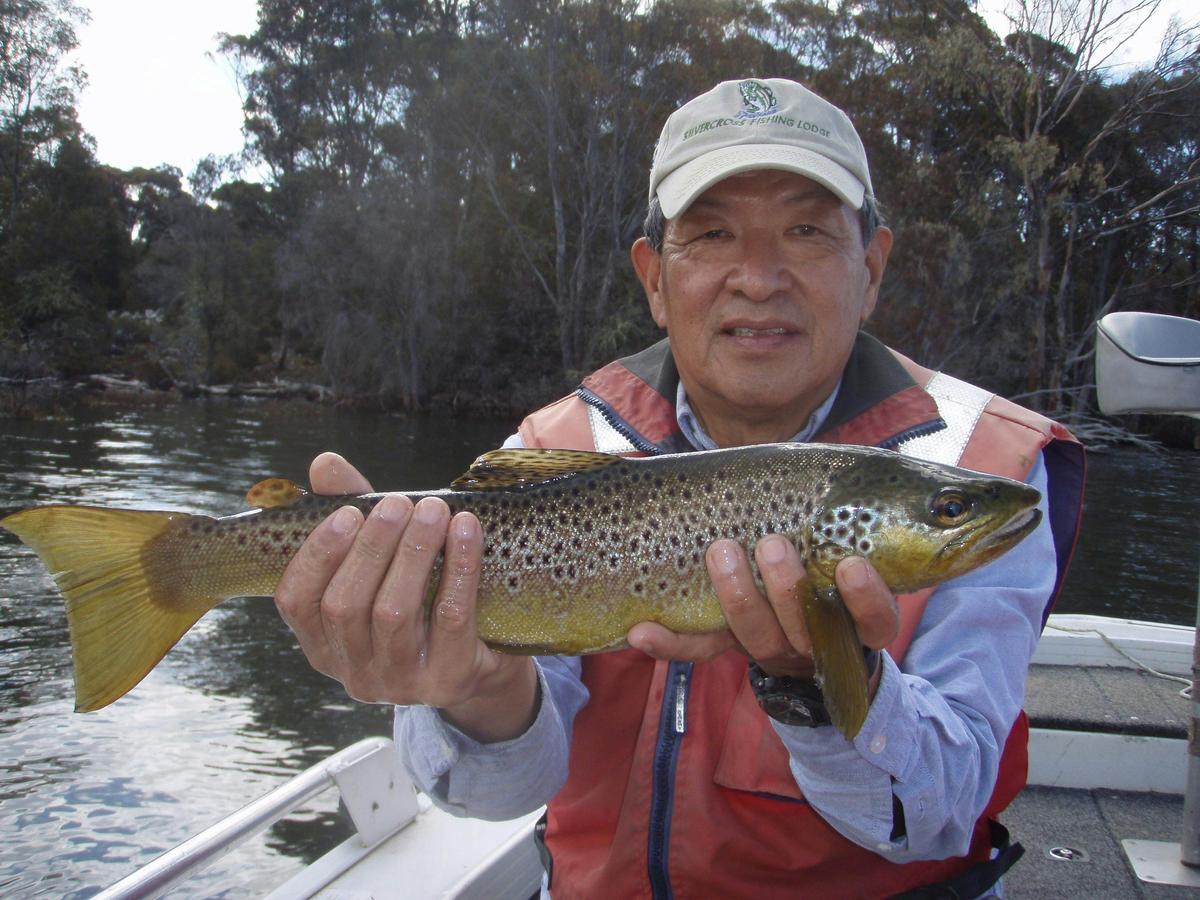 Intermediate fly fisher - skill builder