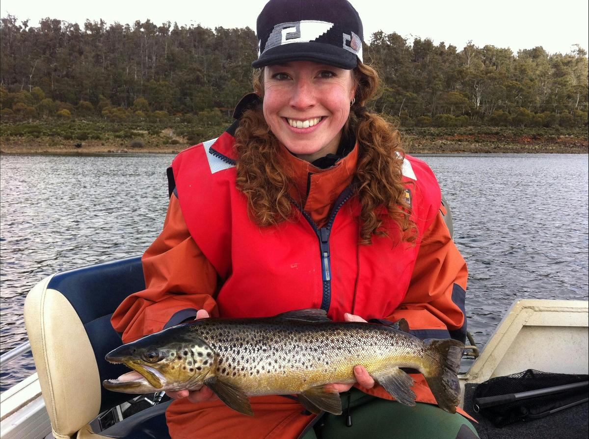 Great lake wild brown trout.