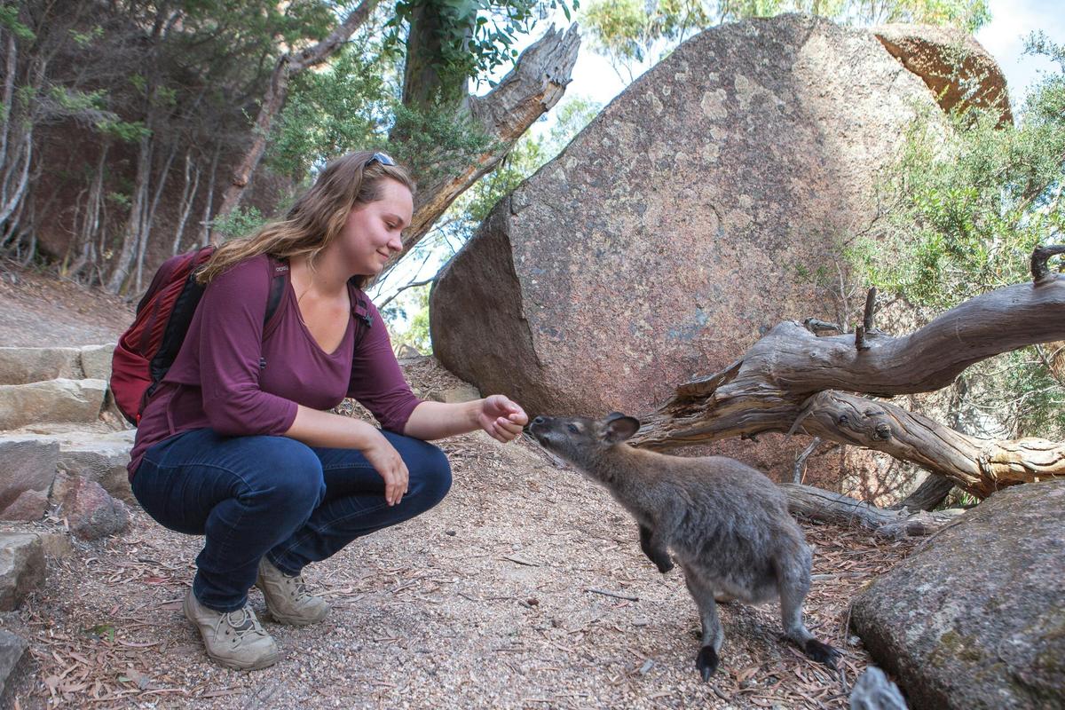 Launceston to Hobart via Wineglass Bay