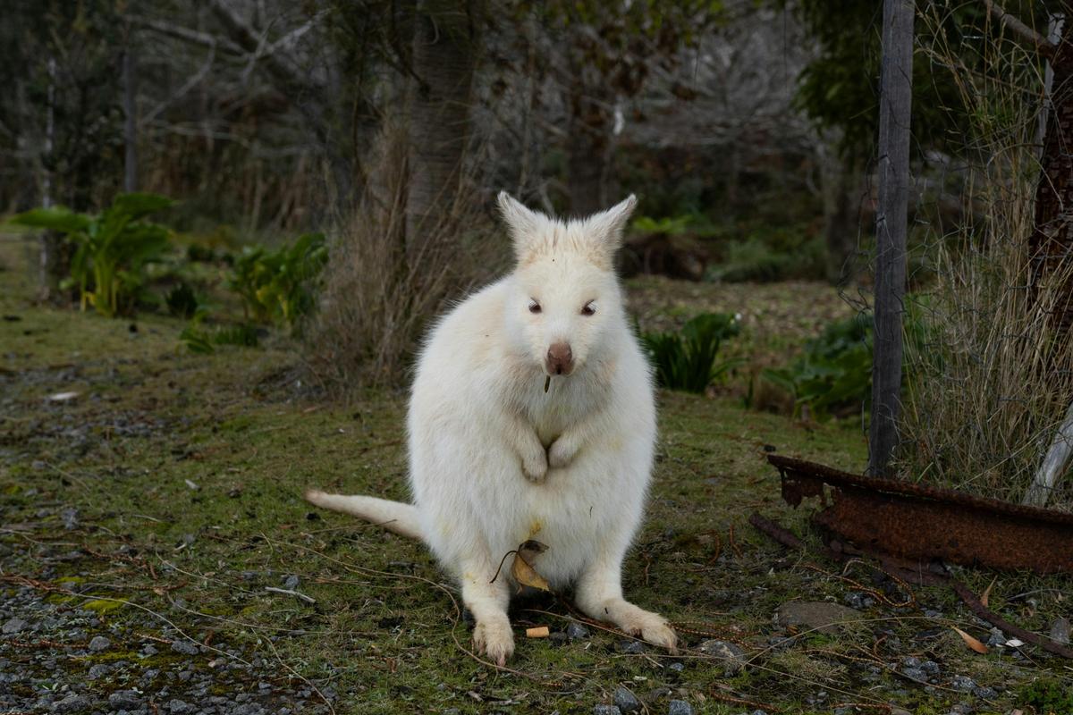 Bruny Island Adventure - active day tour