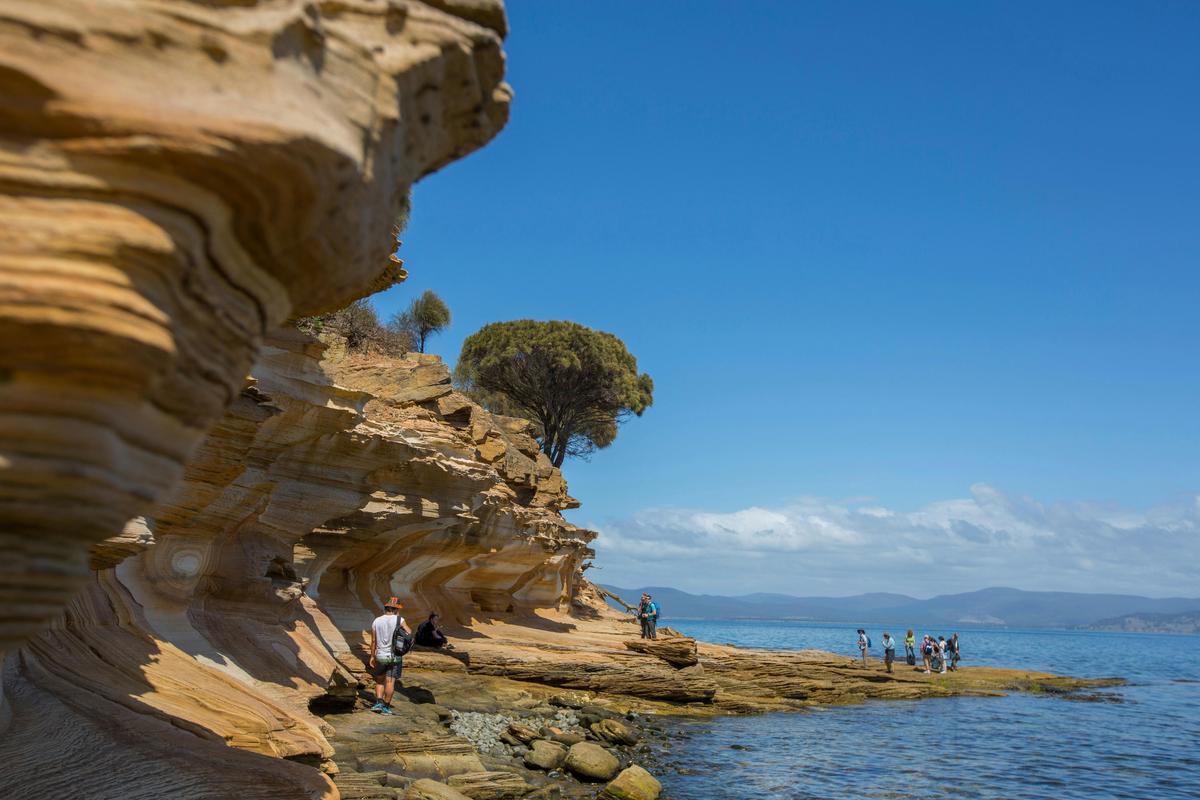Maria Island Active Day Tour