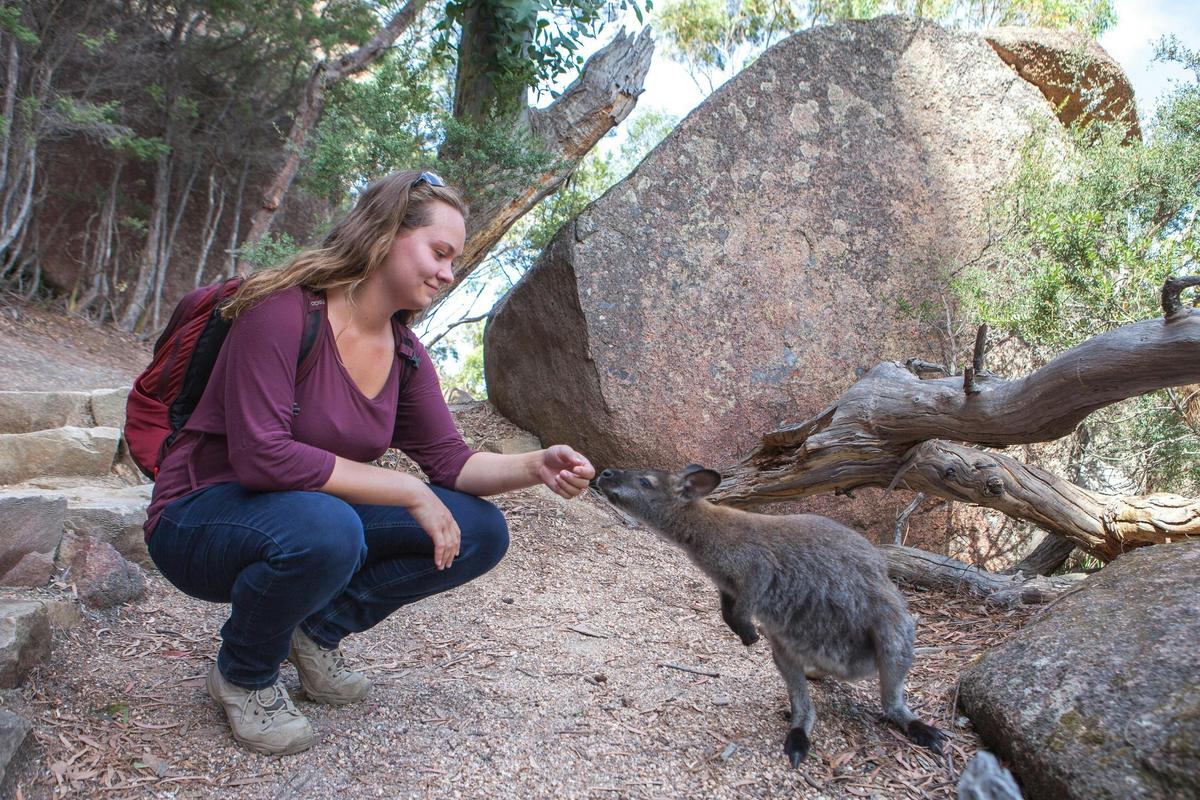 Wineglass Bay Explorer Tour
