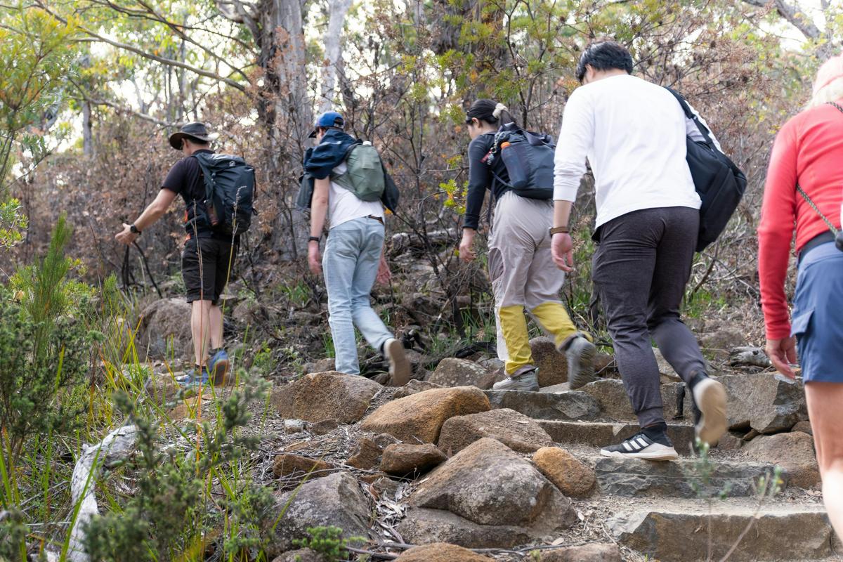 Cape Hauy Hike