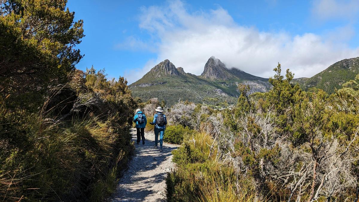 Tasmanian Discovery / 6 day tour of Tasmania (Comfort Tour)