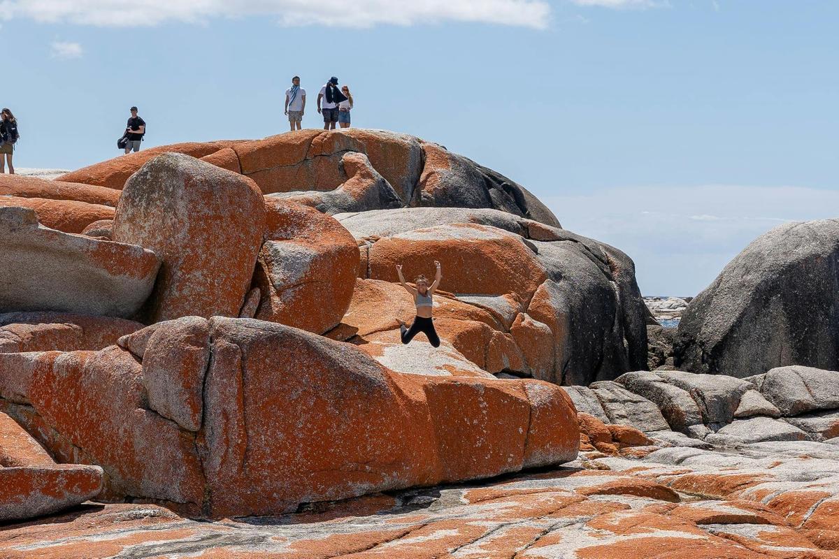 Famous 5 / 5 day tour of Tasmania (Original Tour)