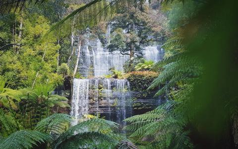 Ultimate Tasmania / 10 day tour of Tasmania (Comfort Tour)