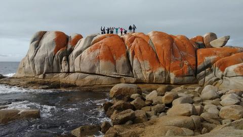 Super 7 / 7 day tour of Tasmania (Original Tour)