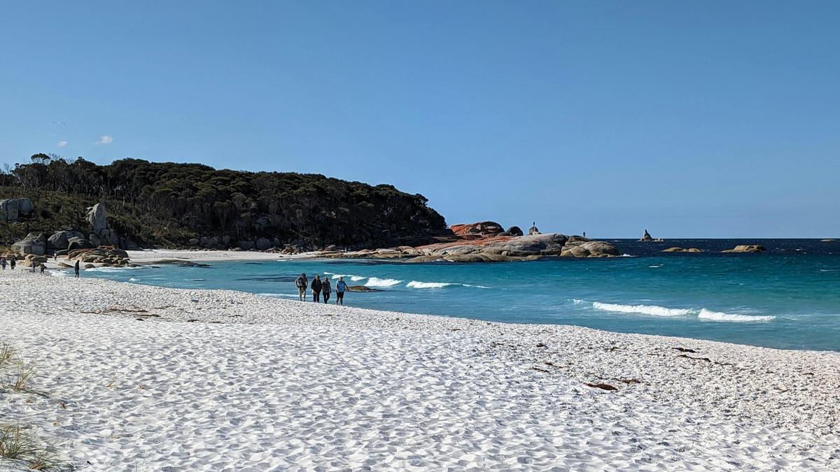 Tasmanian Discovery / 6 day tour of Tasmania (Comfort Tour)