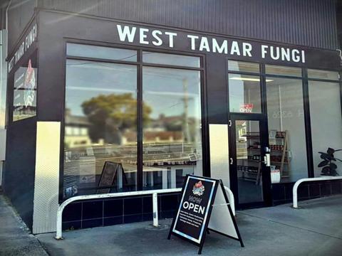 West Tamar Fungi