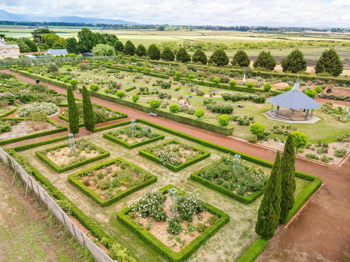 Expansive Rose Garden