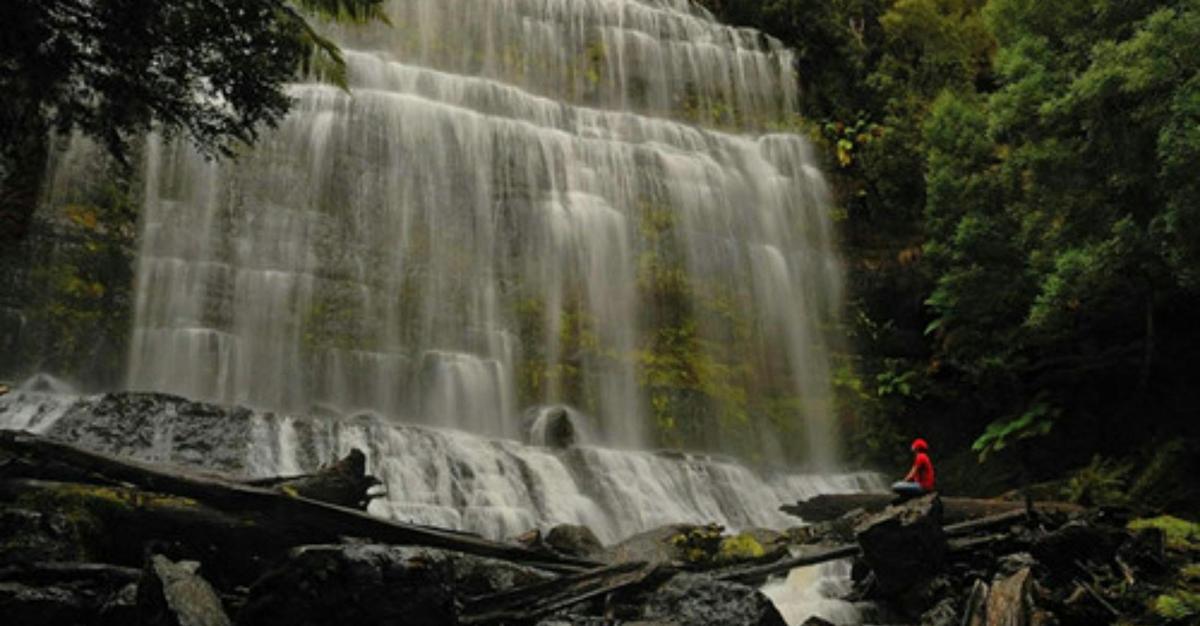 4-Day Tasmania Highlights Tour (Charter)