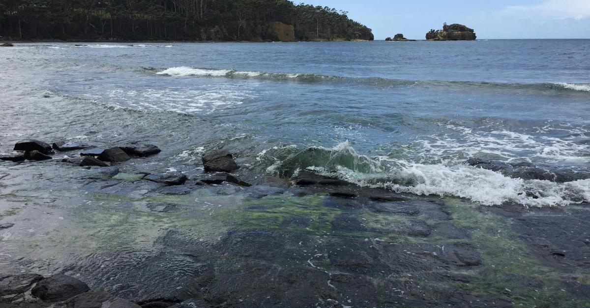 Private Charter Tours in Tasmania（English ，Cantonese，Mandarin）