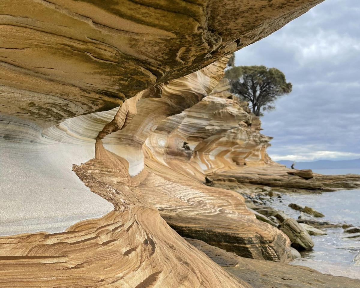 3-Day Essential Southern Tasmania （Charter)