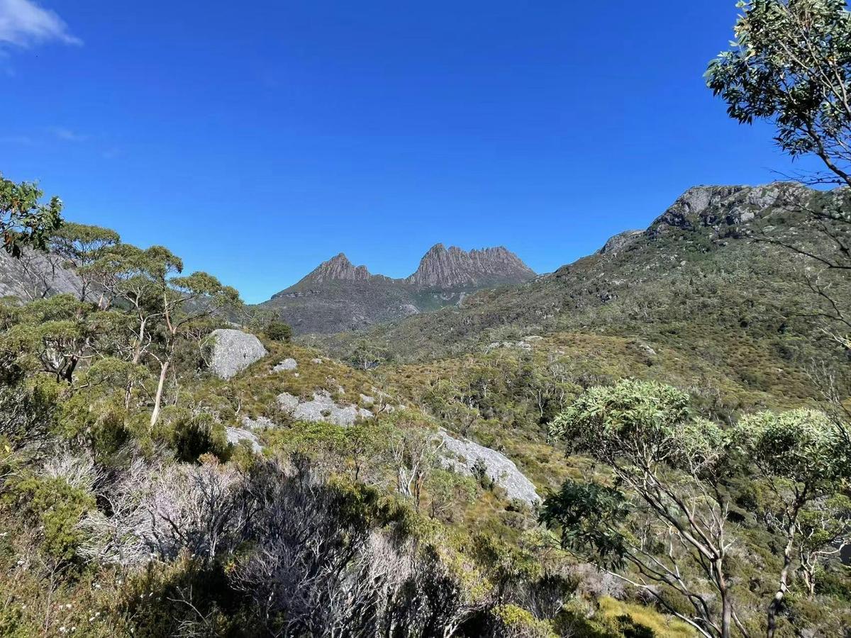 Private Charter Tours in Tasmania（English ，Cantonese，Mandarin）