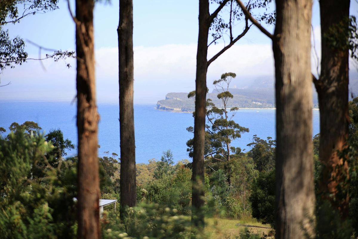 Tasman Peninsula Small-Group Eco Tour from Hobart
