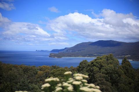 Wild Escapes Tasmania