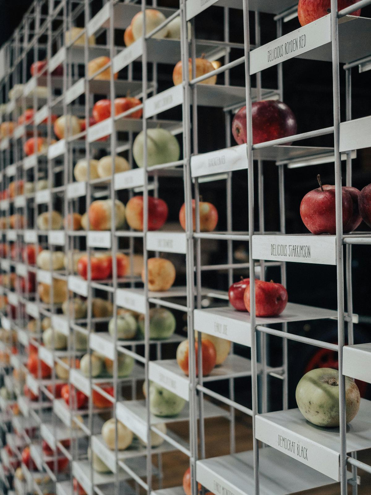 The Willie Smith's Apple Wall