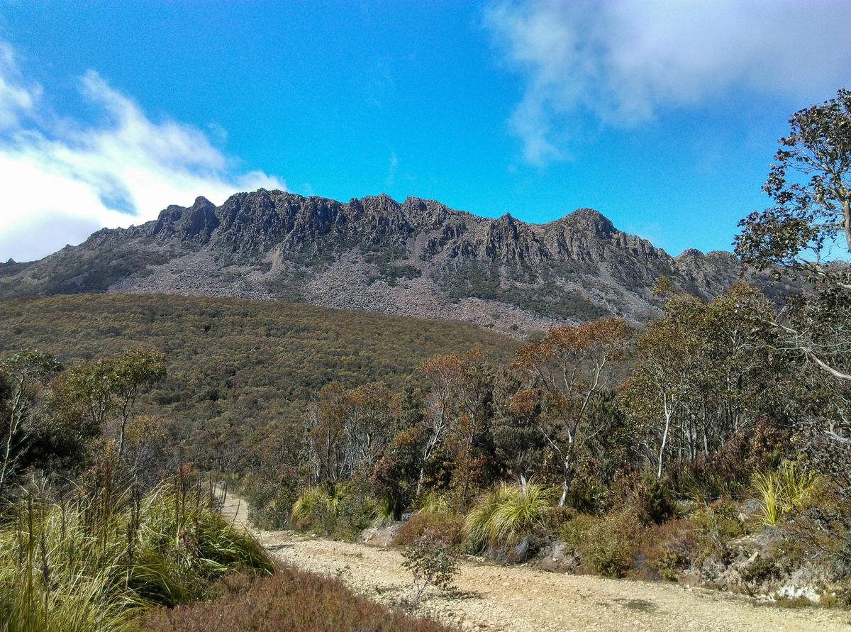 Collins Bonnet, Wellington Park