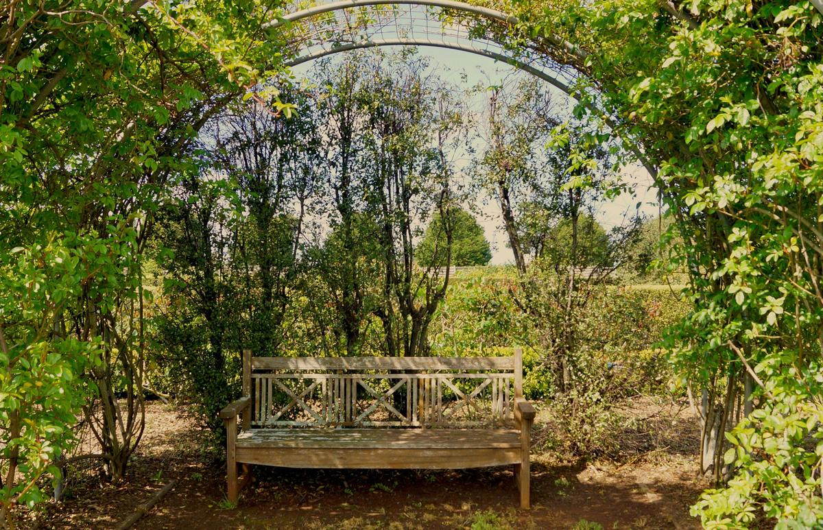 Wedding Day Rose Arch