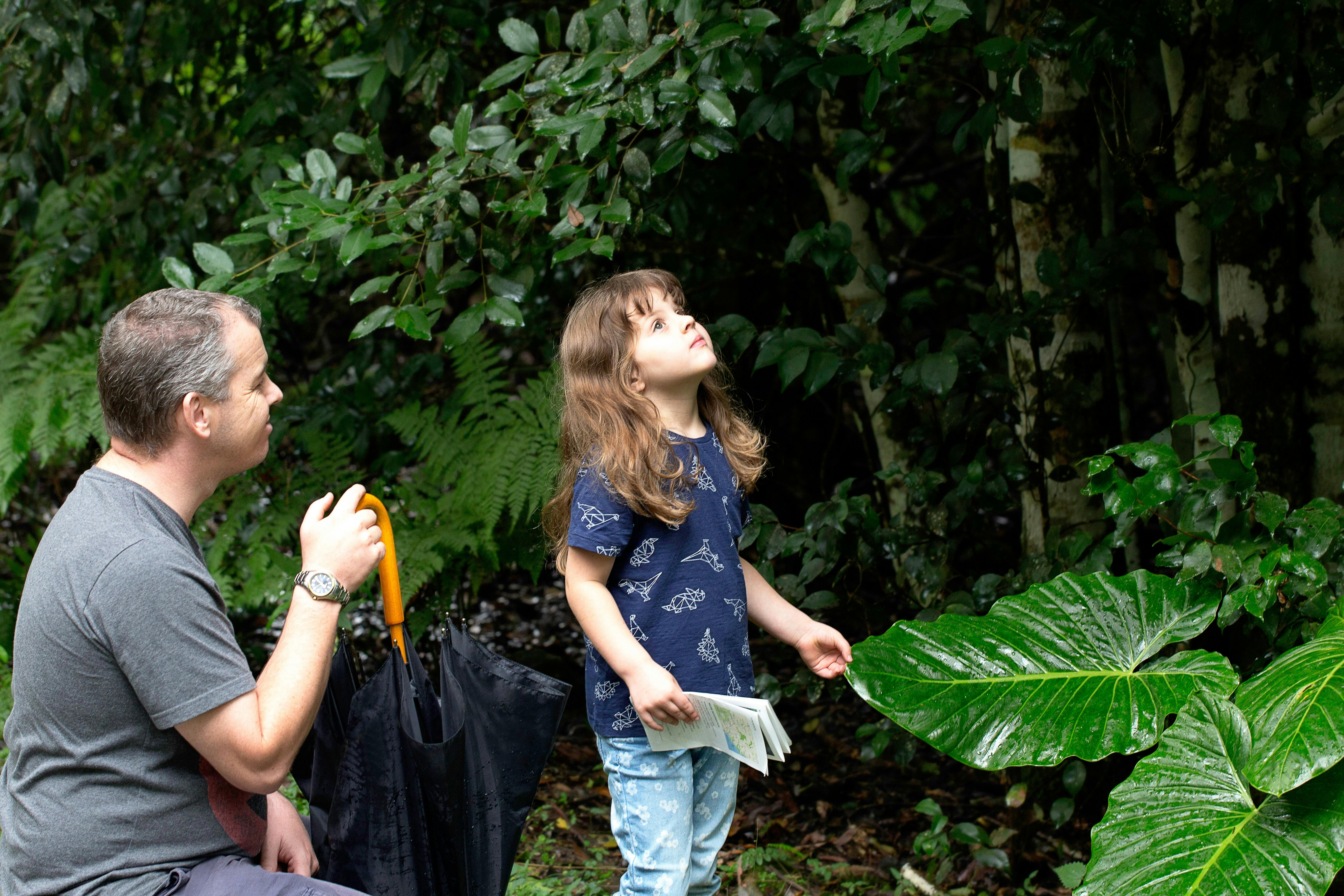 Family friendly Chichester State Forest