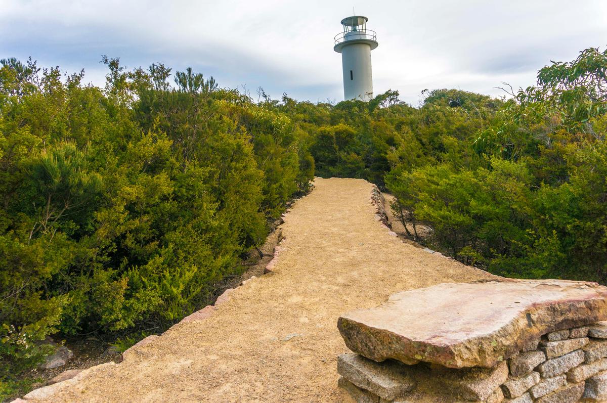 Wineglass Bay Day Tour From Hobart