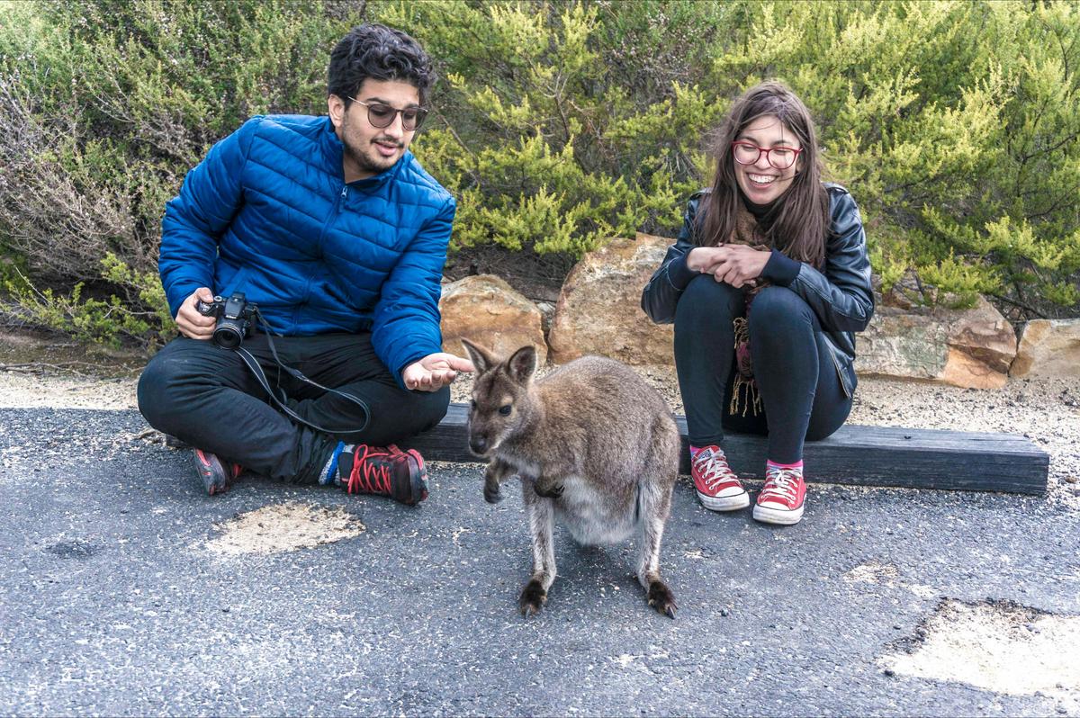 Wineglass Bay Day Tour From Hobart