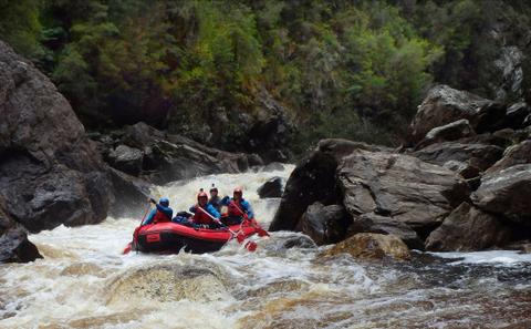 7 or 8 Day Full Franklin River Rafting Expedition