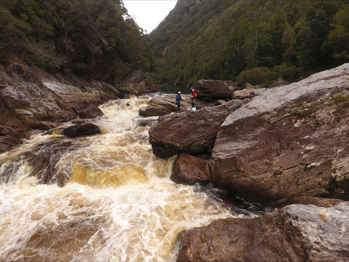 7 or 8 Day Full Franklin River Rafting Expedition