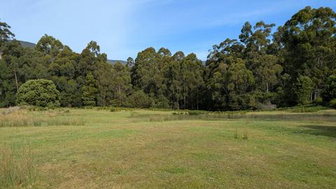 100 Acre Wood