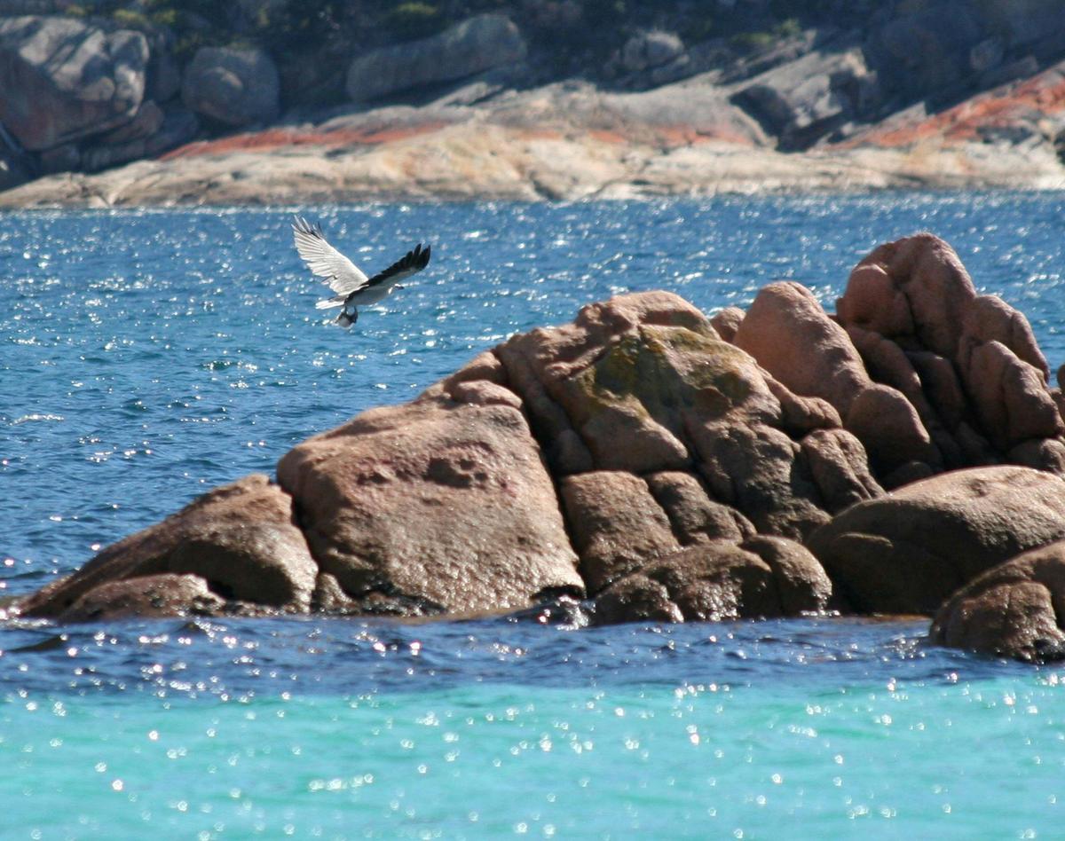 Wineglass Bay Cruises - Vista Lounge with Lunch