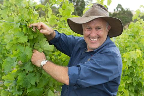 Wobbly Boot Vineyard - Animals + Wine
