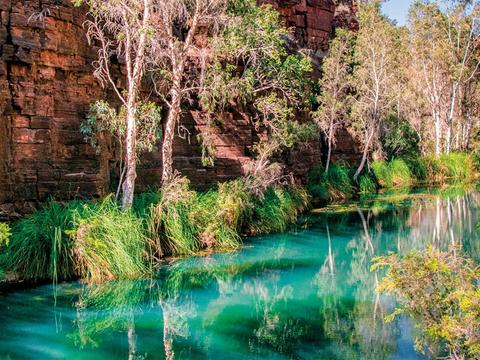 Untamed Kimberley and West Coast