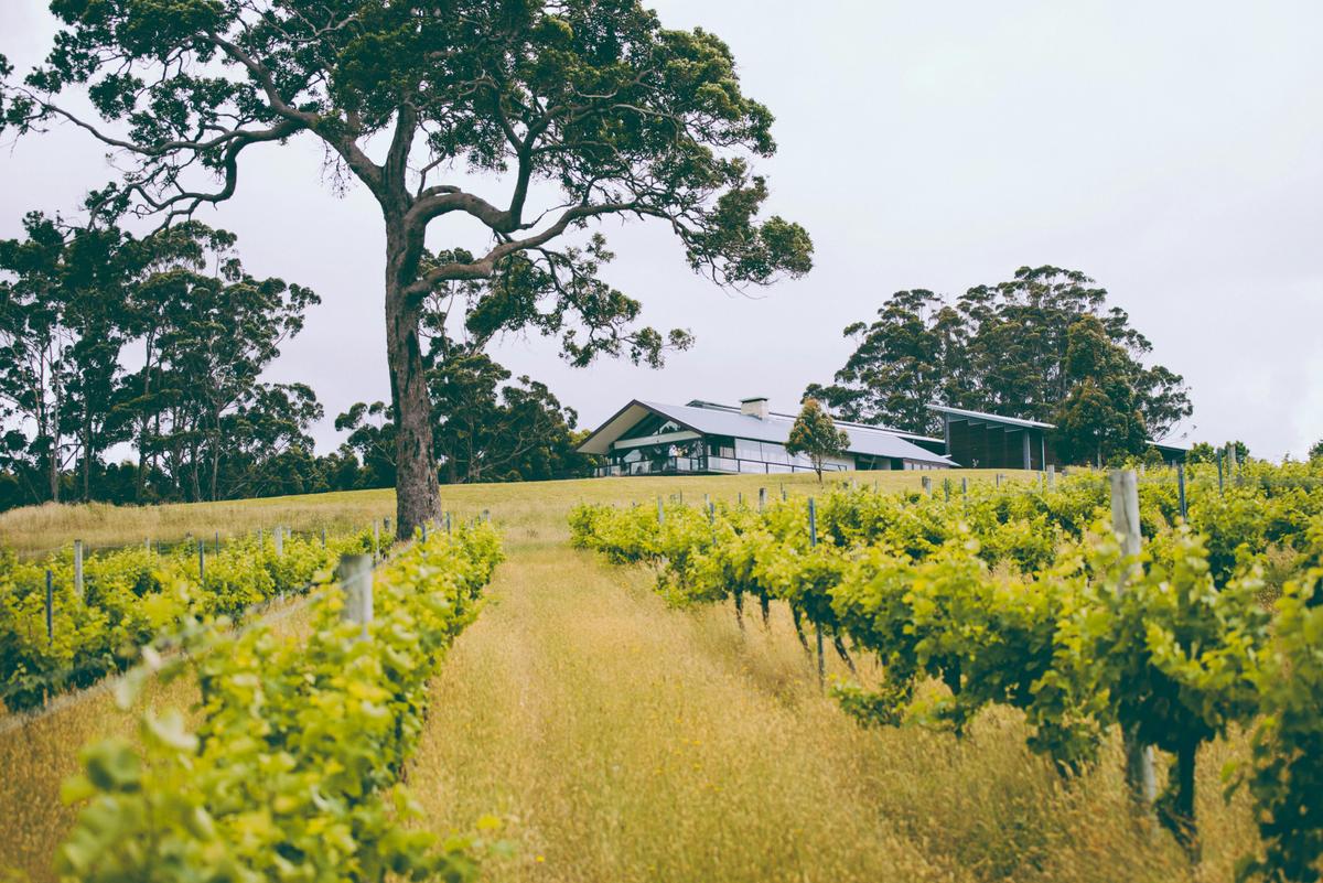 Forest Hill Winery, Denmark.
