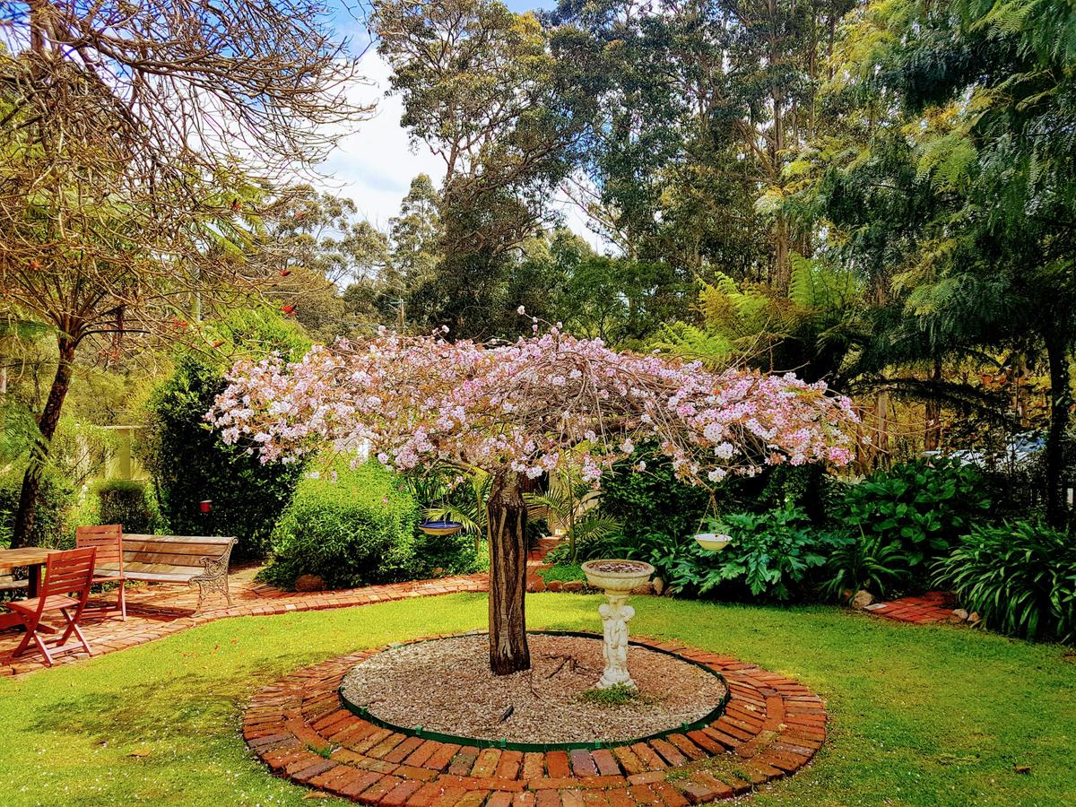 Garden in Spring