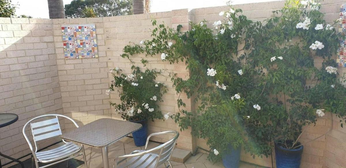 Alexander Drive B&B, courtyard