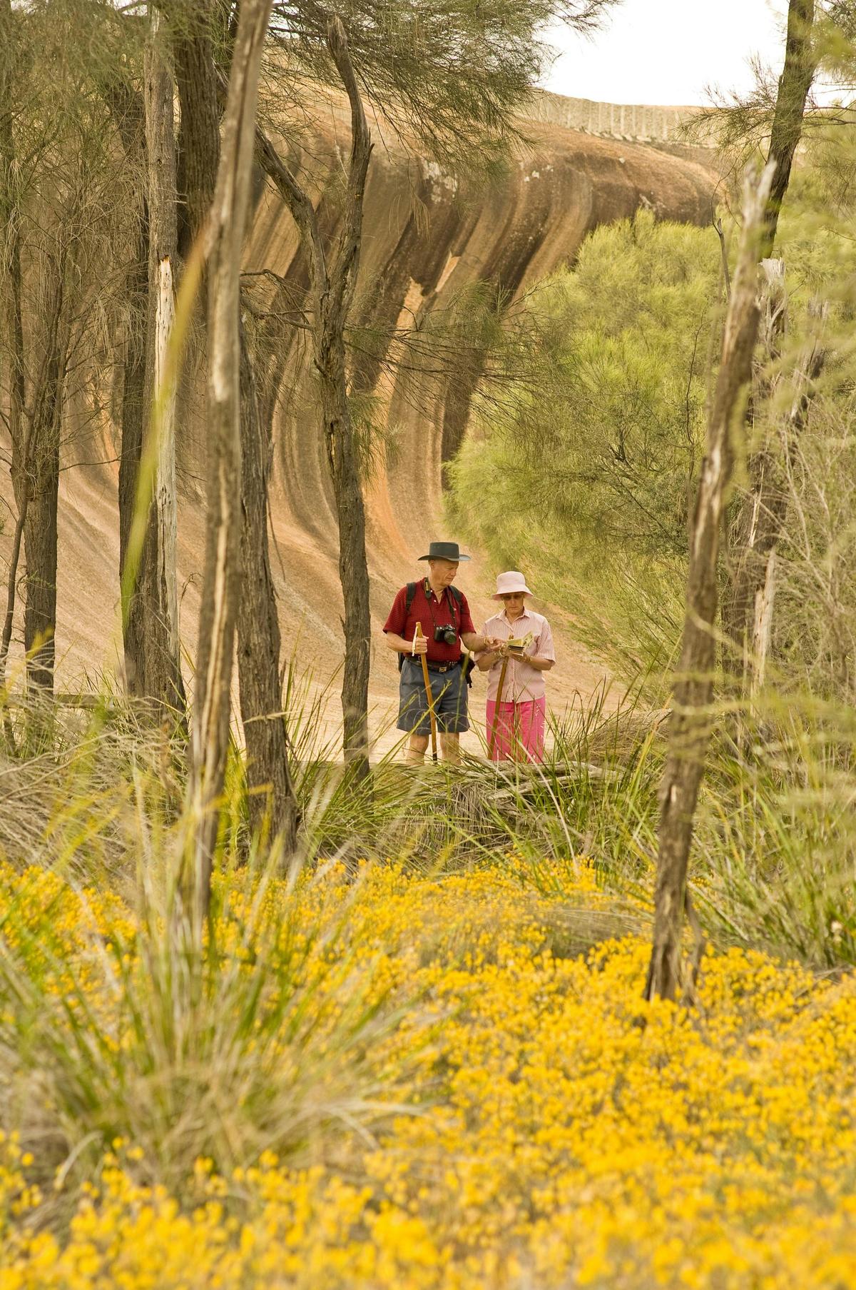 4 Day Fitzgerald River Wildflower Safari