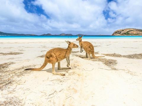 8 Day Albany, Esperance and Historic Goldfields