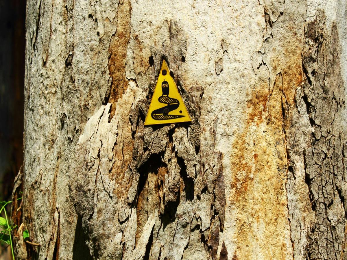 Bibbulmun Track Dwellingup