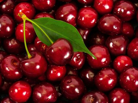 Manjimup Market Cherry Farm Gate