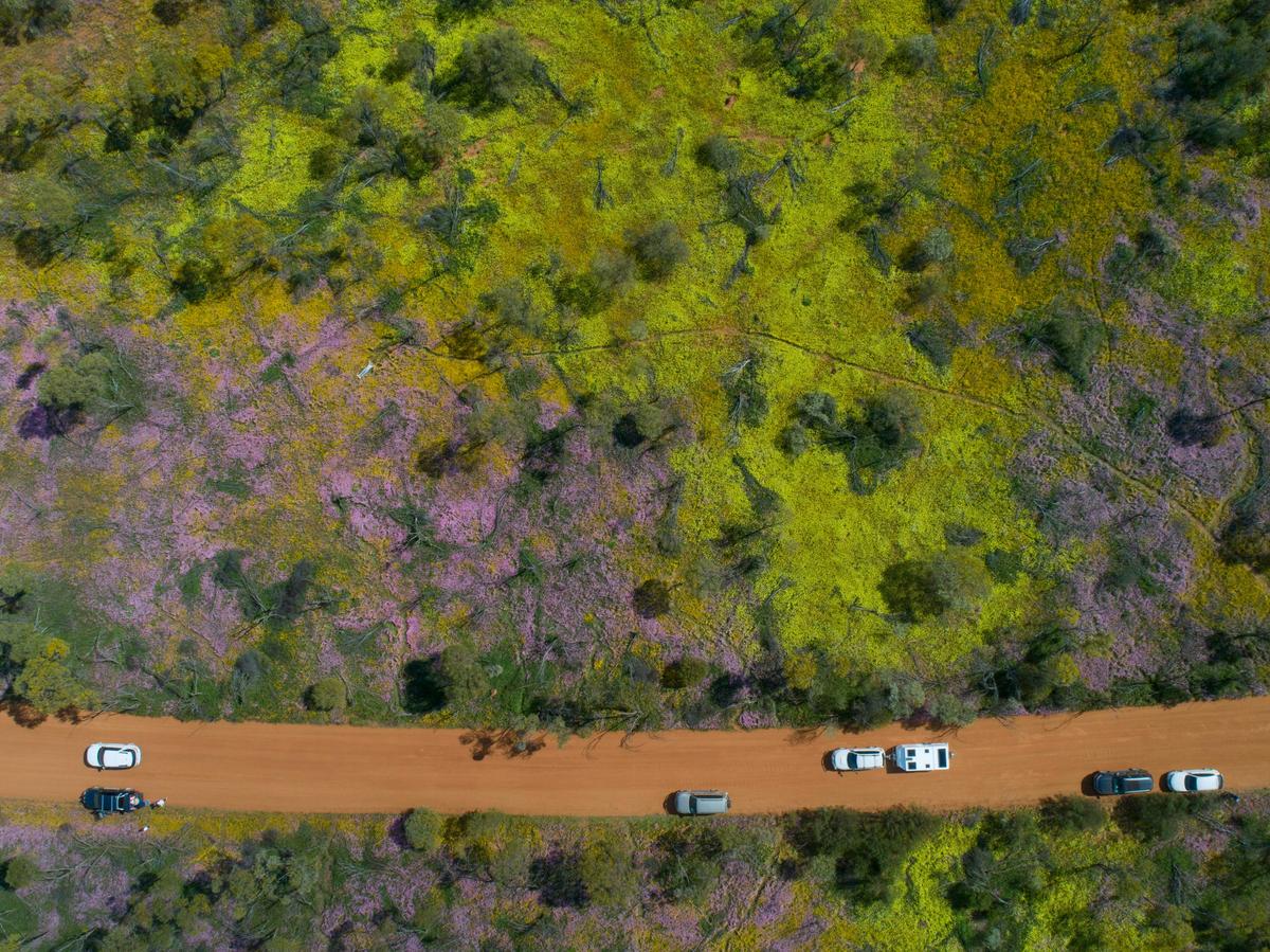 11 Day Western Australian Spring Tour