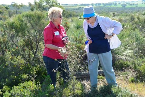 4 Day Great Southern Wildflower Tour with Botanical Guide