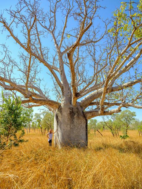 14 Day Top End - Broome to Darwin Tour