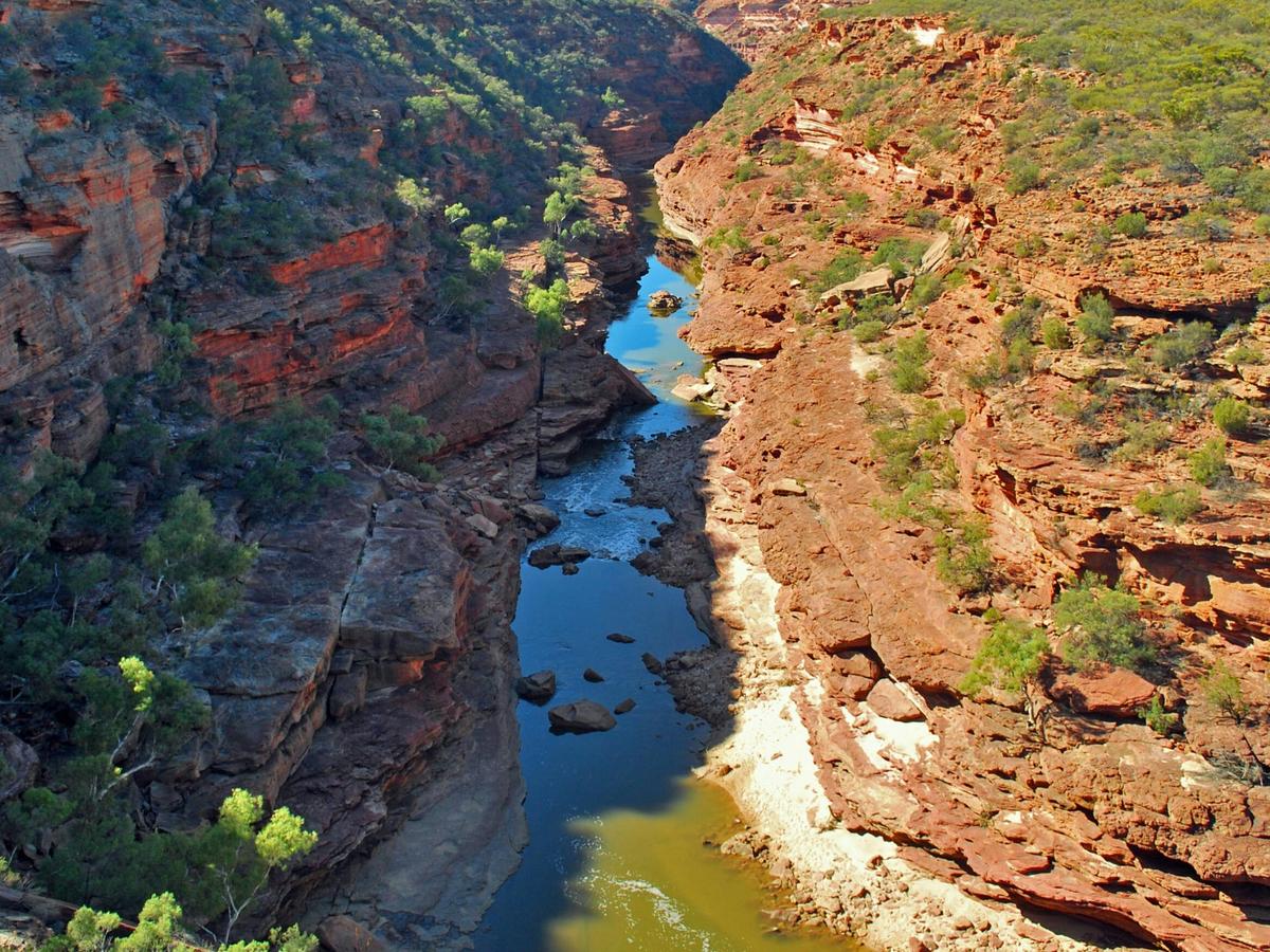 6 Day Shark Bay, Monkey Mia and Kalbarri Tour
