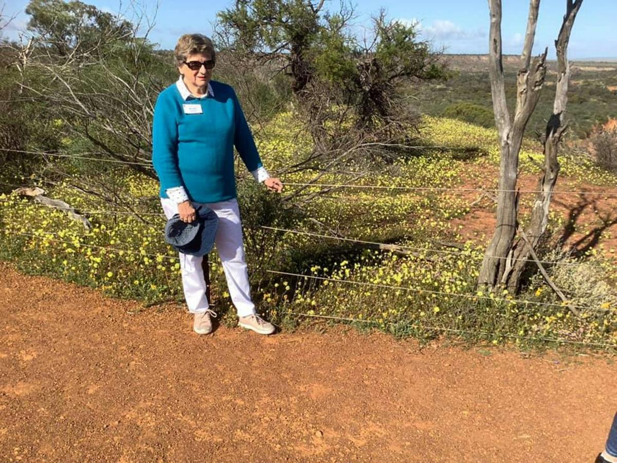 4 Day Great Southern Wildflower Tour with Botanical Guide