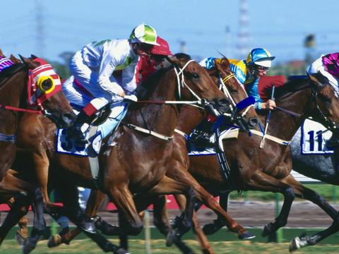 Melbourne Cup at the Drakesbrook Tavern