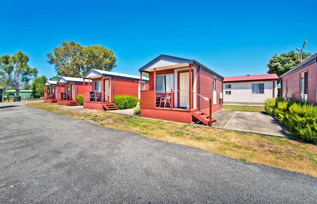 Rows of Standard Cabins at Albany Holiday Park
