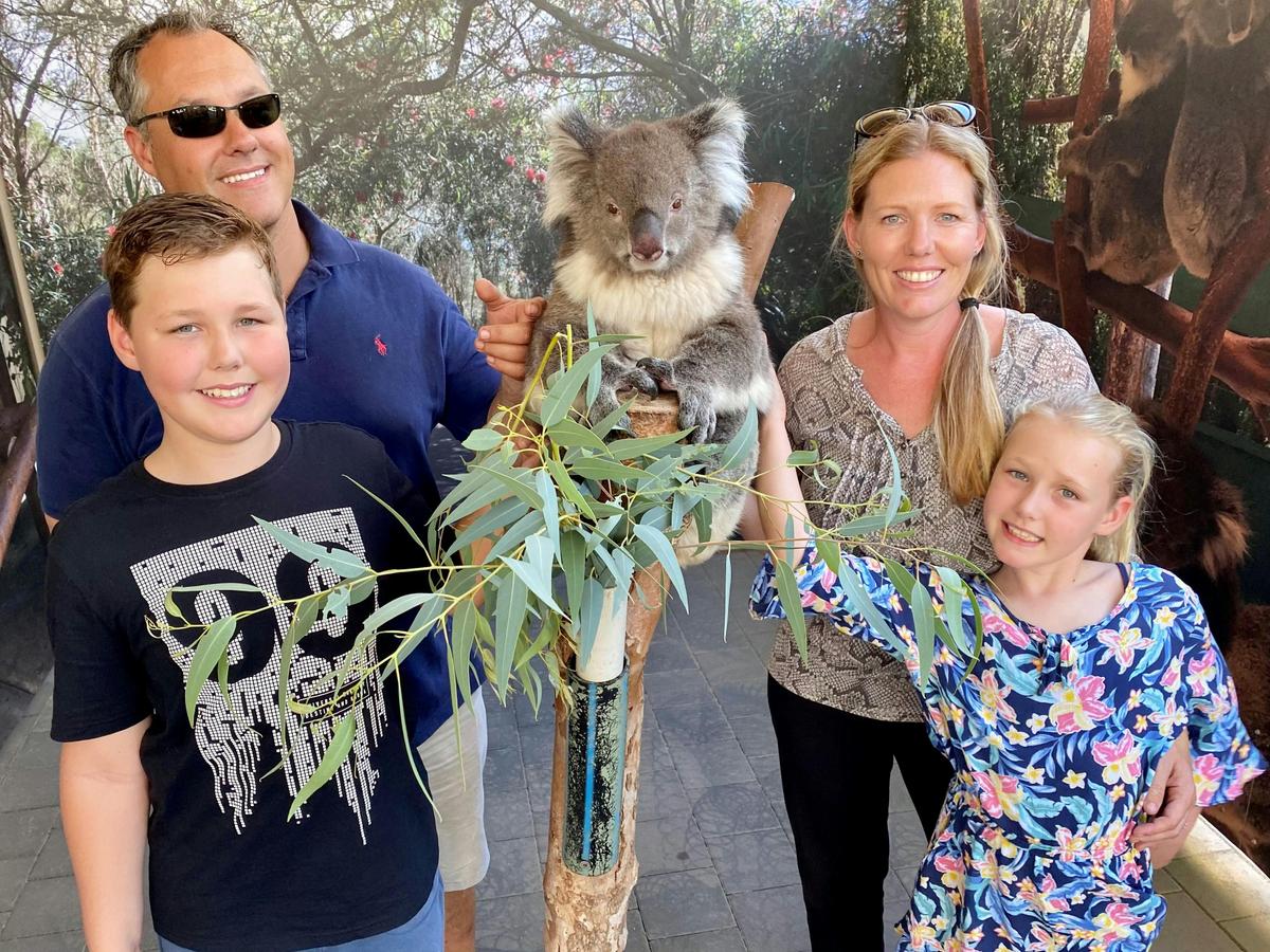 Meet a koala, have a feel of their fur and they will help with your photographs
