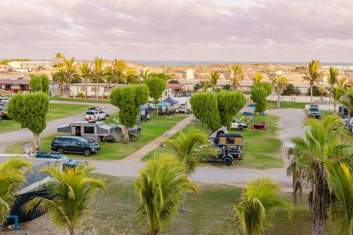 Pioneer Caravan and Camping Sites